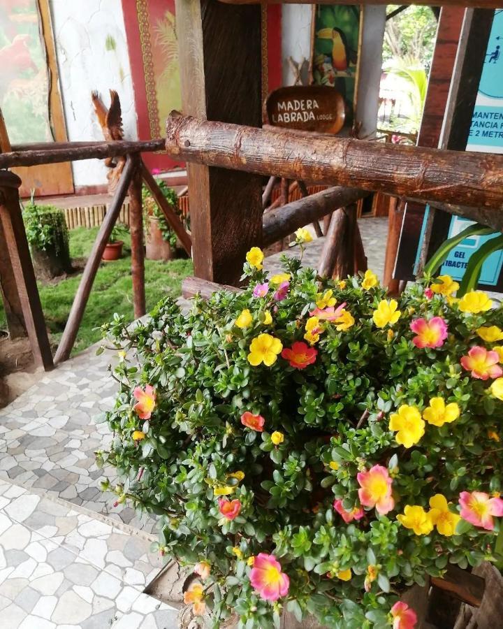 Madera Labrada Lodge Ecologico Tarapoto Exterior foto